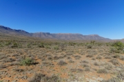 04 - Karoo NP (1)